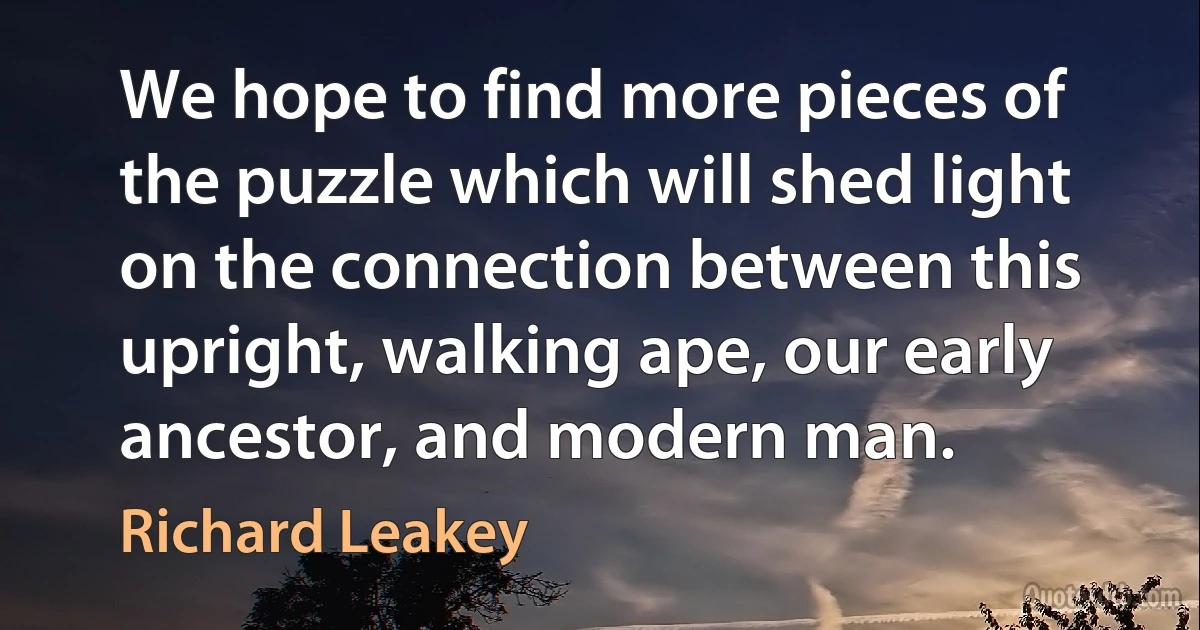 We hope to find more pieces of the puzzle which will shed light on the connection between this upright, walking ape, our early ancestor, and modern man. (Richard Leakey)