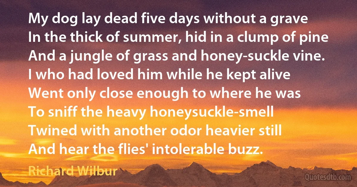 My dog lay dead five days without a grave
In the thick of summer, hid in a clump of pine
And a jungle of grass and honey-suckle vine.
I who had loved him while he kept alive
Went only close enough to where he was
To sniff the heavy honeysuckle-smell
Twined with another odor heavier still
And hear the flies' intolerable buzz. (Richard Wilbur)