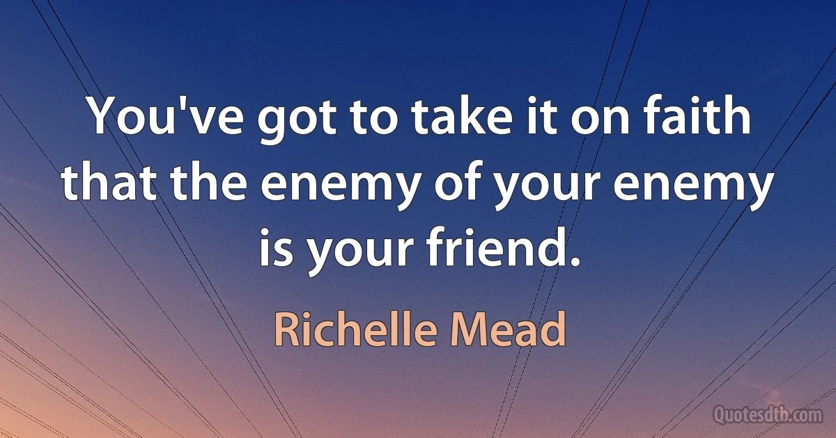 You've got to take it on faith that the enemy of your enemy is your friend. (Richelle Mead)