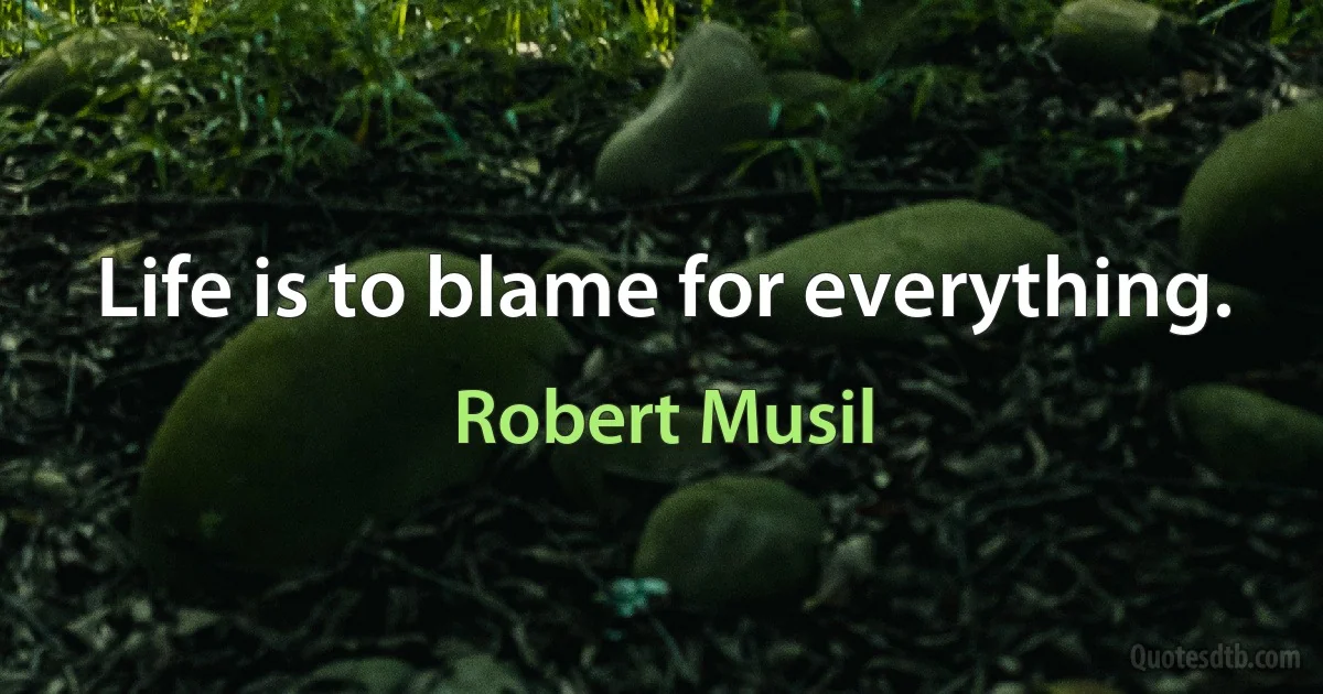 Life is to blame for everything. (Robert Musil)