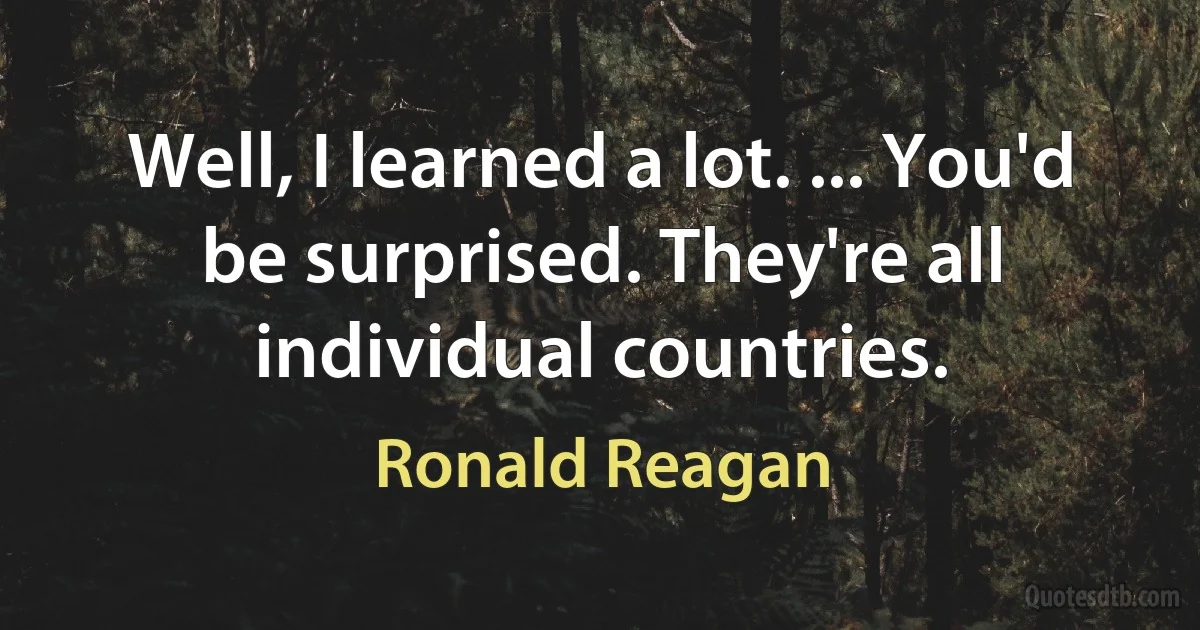 Well, I learned a lot. ... You'd be surprised. They're all individual countries. (Ronald Reagan)