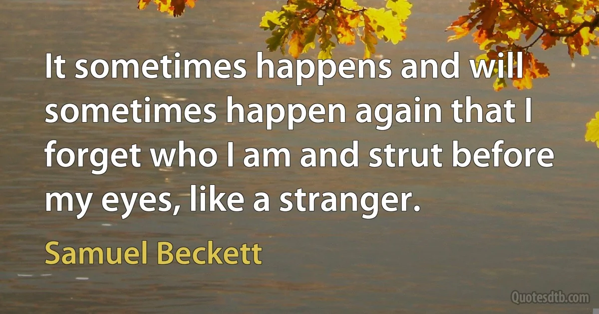 It sometimes happens and will sometimes happen again that I forget who I am and strut before my eyes, like a stranger. (Samuel Beckett)