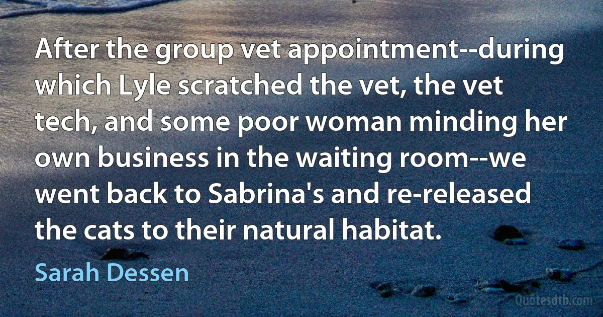 After the group vet appointment--during which Lyle scratched the vet, the vet tech, and some poor woman minding her own business in the waiting room--we went back to Sabrina's and re-released the cats to their natural habitat. (Sarah Dessen)