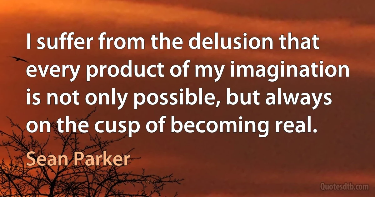 I suffer from the delusion that every product of my imagination is not only possible, but always on the cusp of becoming real. (Sean Parker)