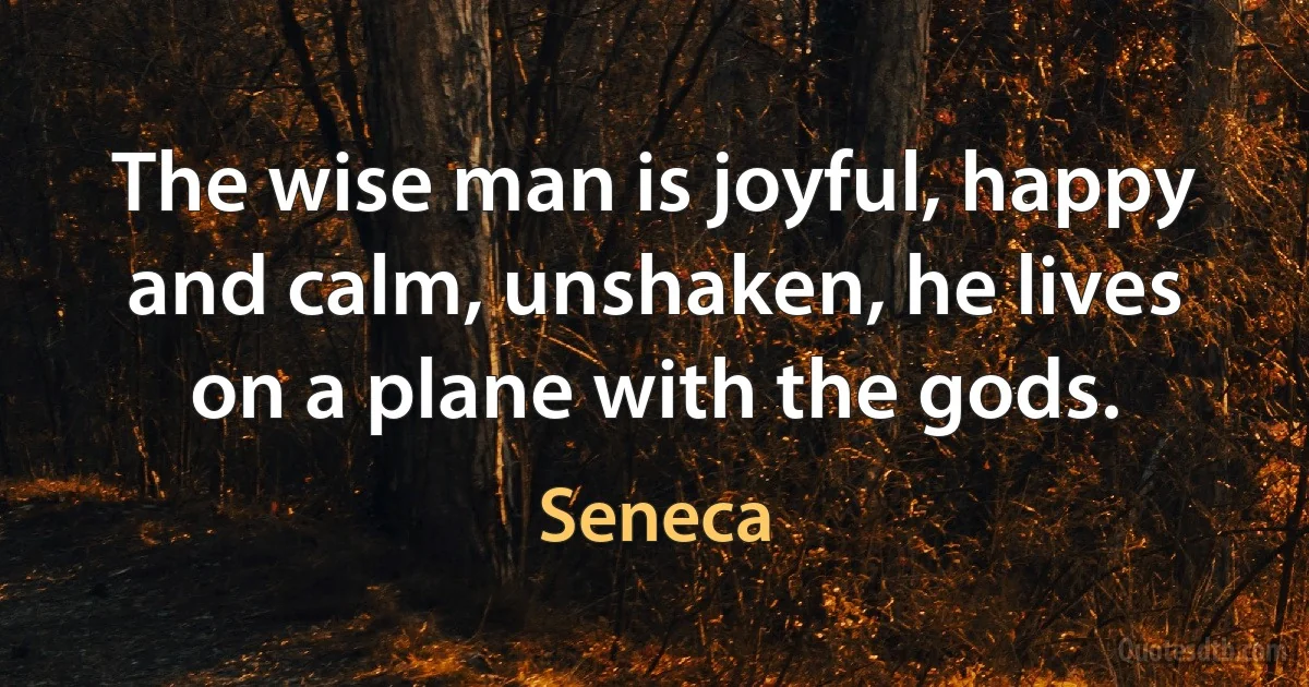 The wise man is joyful, happy and calm, unshaken, he lives on a plane with the gods. (Seneca)