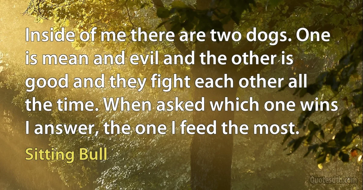 Inside of me there are two dogs. One is mean and evil and the other is good and they fight each other all the time. When asked which one wins I answer, the one I feed the most. (Sitting Bull)