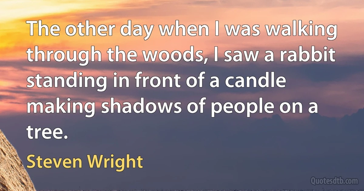 The other day when I was walking through the woods, I saw a rabbit standing in front of a candle making shadows of people on a tree. (Steven Wright)