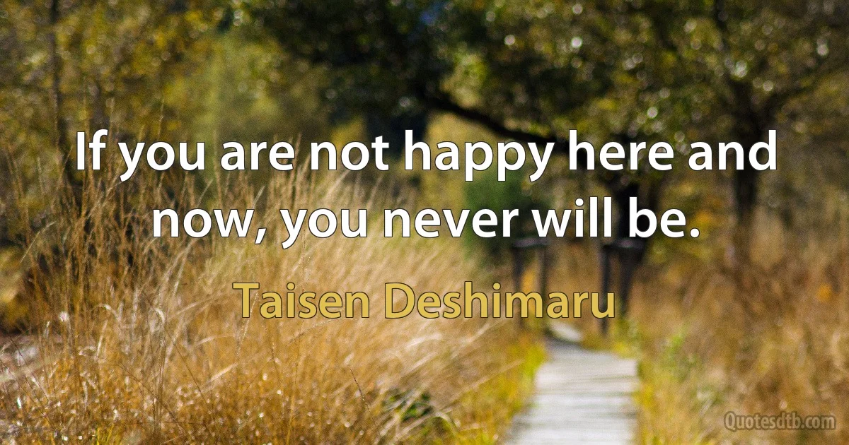 If you are not happy here and now, you never will be. (Taisen Deshimaru)