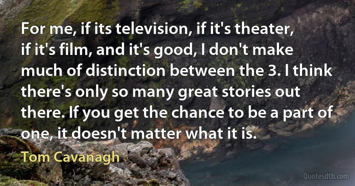 For me, if its television, if it's theater, if it's film, and it's good, I don't make much of distinction between the 3. I think there's only so many great stories out there. If you get the chance to be a part of one, it doesn't matter what it is. (Tom Cavanagh)