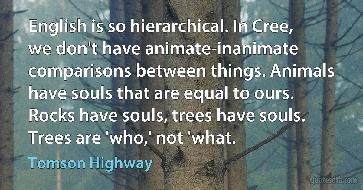 English is so hierarchical. In Cree, we don't have animate-inanimate comparisons between things. Animals have souls that are equal to ours. Rocks have souls, trees have souls. Trees are 'who,' not 'what. (Tomson Highway)