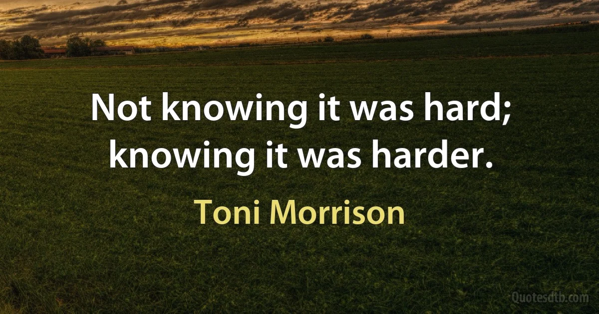 Not knowing it was hard; knowing it was harder. (Toni Morrison)