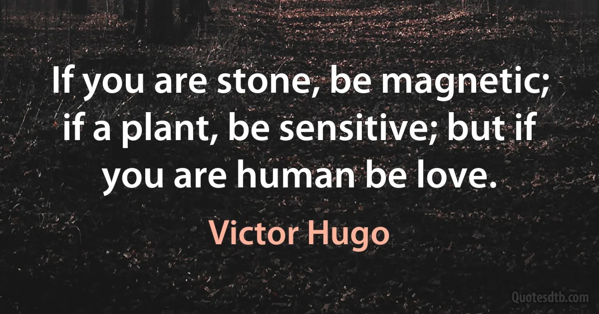 If you are stone, be magnetic; if a plant, be sensitive; but if you are human be love. (Victor Hugo)