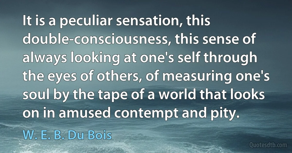 It is a peculiar sensation, this double-consciousness, this sense of always looking at one's self through the eyes of others, of measuring one's soul by the tape of a world that looks on in amused contempt and pity. (W. E. B. Du Bois)