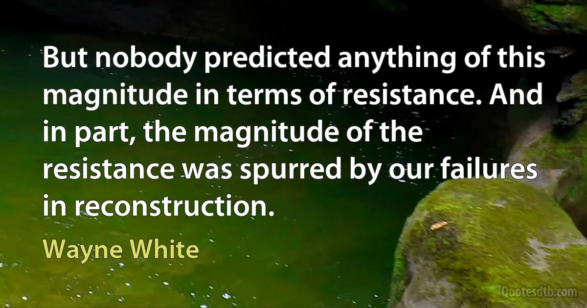 But nobody predicted anything of this magnitude in terms of resistance. And in part, the magnitude of the resistance was spurred by our failures in reconstruction. (Wayne White)