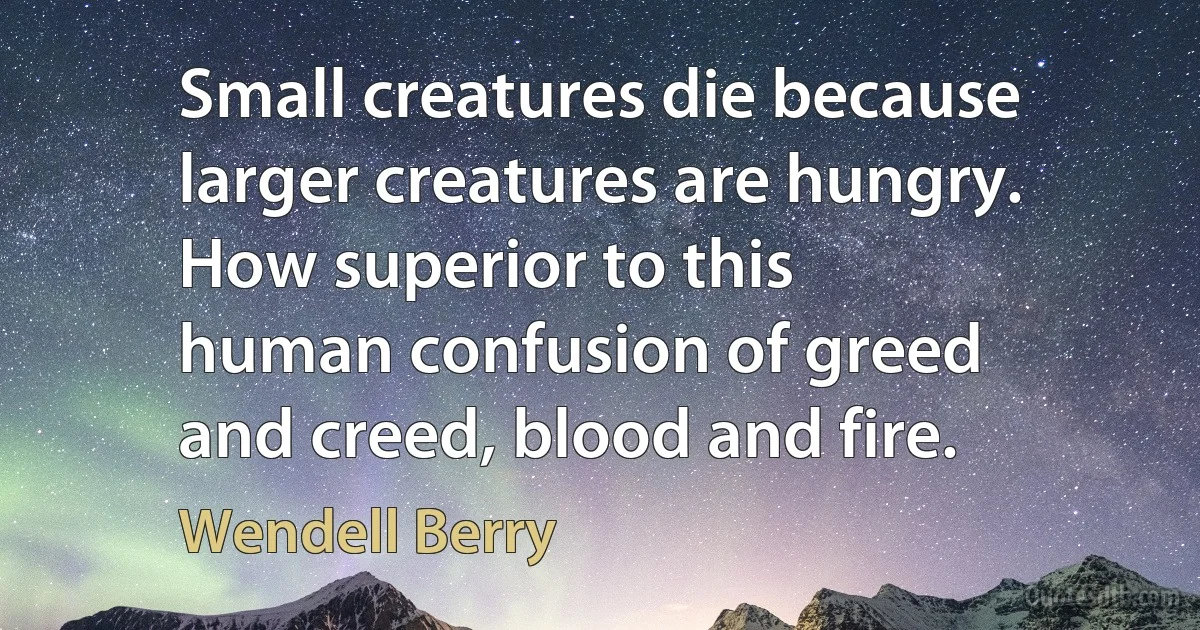 Small creatures die because
larger creatures are hungry.
How superior to this
human confusion of greed
and creed, blood and fire. (Wendell Berry)