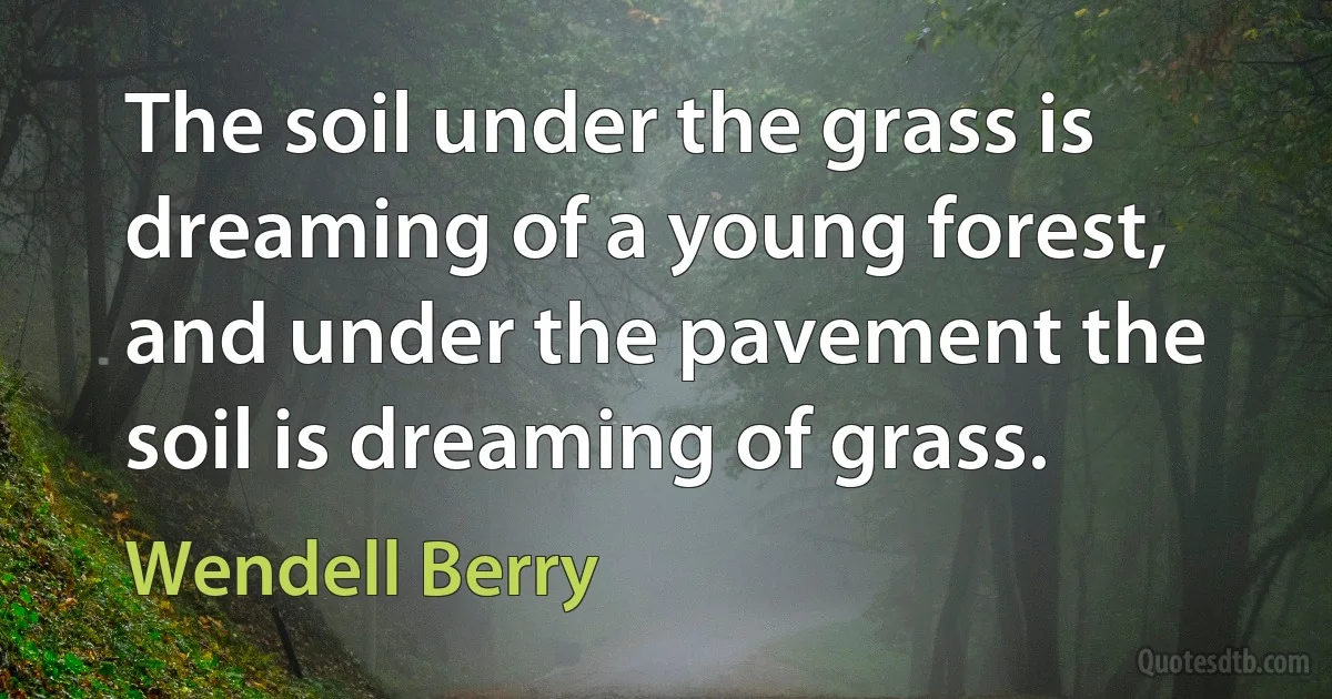 The soil under the grass is dreaming of a young forest, and under the pavement the soil is dreaming of grass. (Wendell Berry)