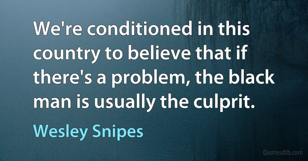 We're conditioned in this country to believe that if there's a problem, the black man is usually the culprit. (Wesley Snipes)