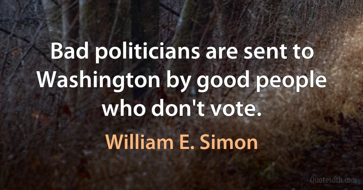 Bad politicians are sent to Washington by good people who don't vote. (William E. Simon)