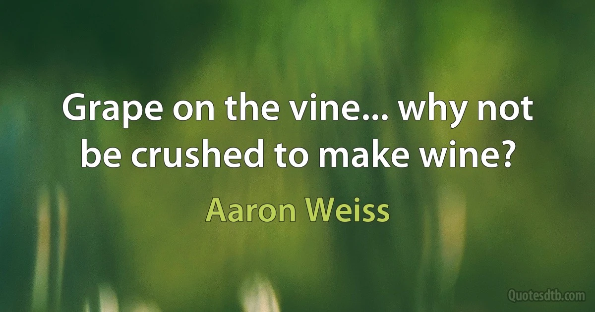 Grape on the vine... why not be crushed to make wine? (Aaron Weiss)