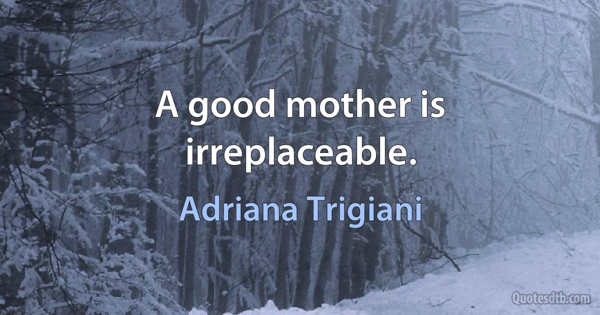 A good mother is irreplaceable. (Adriana Trigiani)