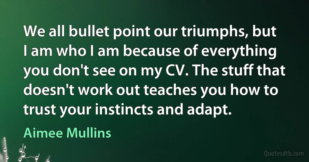 We all bullet point our triumphs, but I am who I am because of everything you don't see on my CV. The stuff that doesn't work out teaches you how to trust your instincts and adapt. (Aimee Mullins)