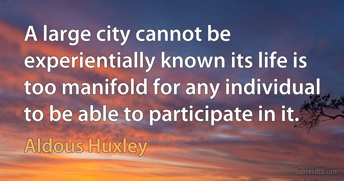 A large city cannot be experientially known its life is too manifold for any individual to be able to participate in it. (Aldous Huxley)