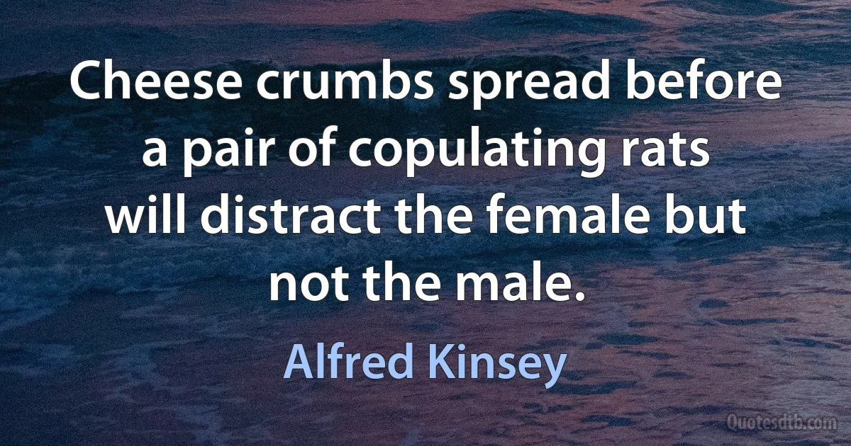 Cheese crumbs spread before a pair of copulating rats will distract the female but not the male. (Alfred Kinsey)