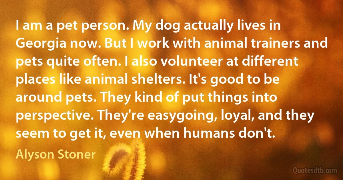 I am a pet person. My dog actually lives in Georgia now. But I work with animal trainers and pets quite often. I also volunteer at different places like animal shelters. It's good to be around pets. They kind of put things into perspective. They're easygoing, loyal, and they seem to get it, even when humans don't. (Alyson Stoner)