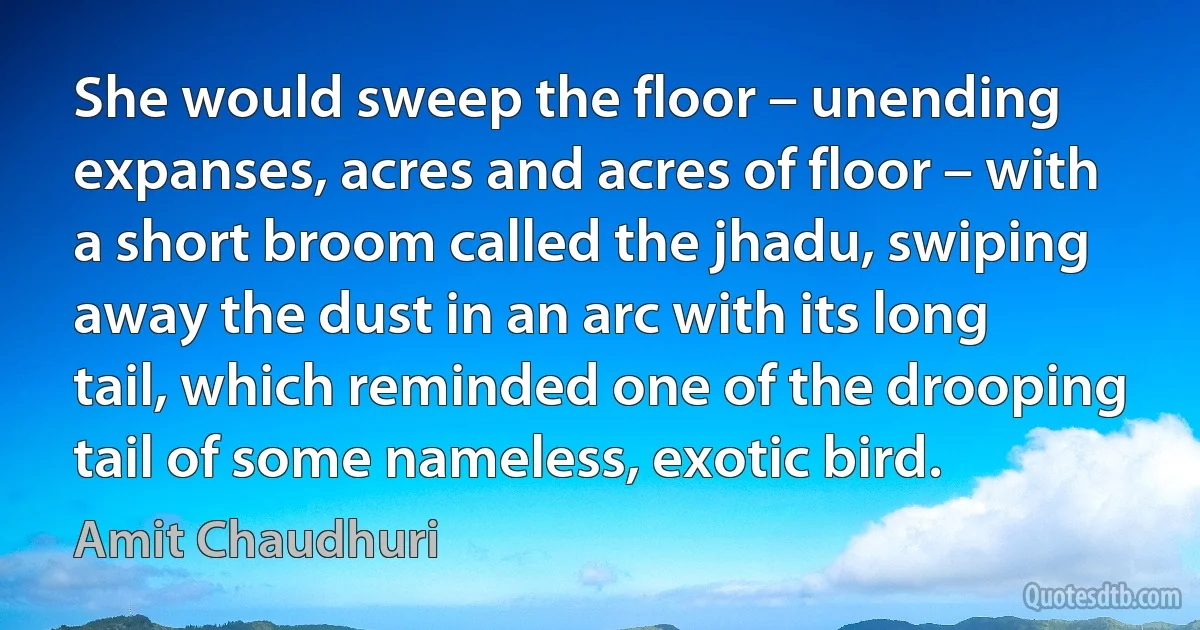 She would sweep the floor – unending expanses, acres and acres of floor – with a short broom called the jhadu, swiping away the dust in an arc with its long tail, which reminded one of the drooping tail of some nameless, exotic bird. (Amit Chaudhuri)