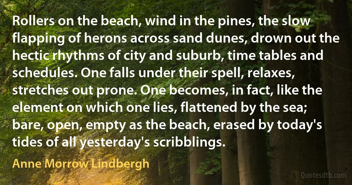 Rollers on the beach, wind in the pines, the slow flapping of herons across sand dunes, drown out the hectic rhythms of city and suburb, time tables and schedules. One falls under their spell, relaxes, stretches out prone. One becomes, in fact, like the element on which one lies, flattened by the sea; bare, open, empty as the beach, erased by today's tides of all yesterday's scribblings. (Anne Morrow Lindbergh)