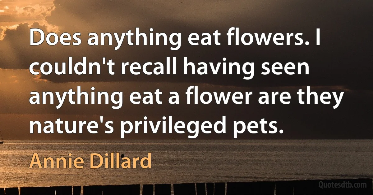 Does anything eat flowers. I couldn't recall having seen anything eat a flower are they nature's privileged pets. (Annie Dillard)