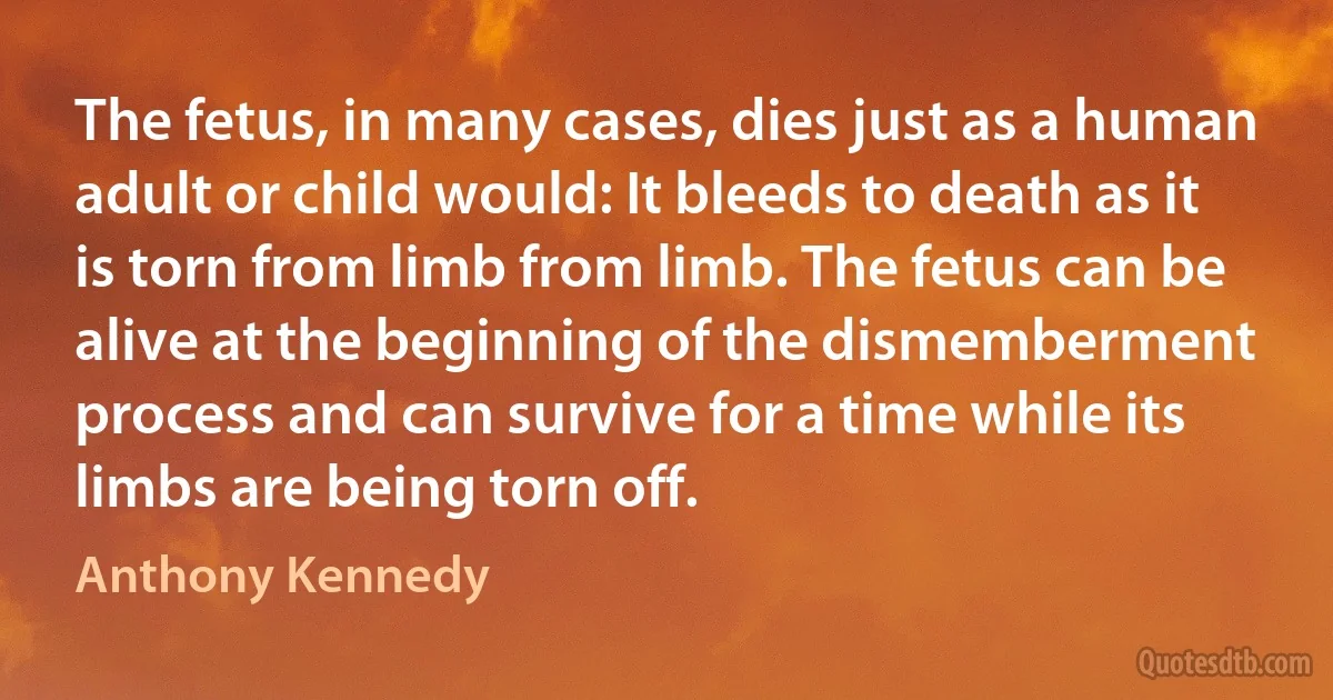 The fetus, in many cases, dies just as a human adult or child would: It bleeds to death as it is torn from limb from limb. The fetus can be alive at the beginning of the dismemberment process and can survive for a time while its limbs are being torn off. (Anthony Kennedy)