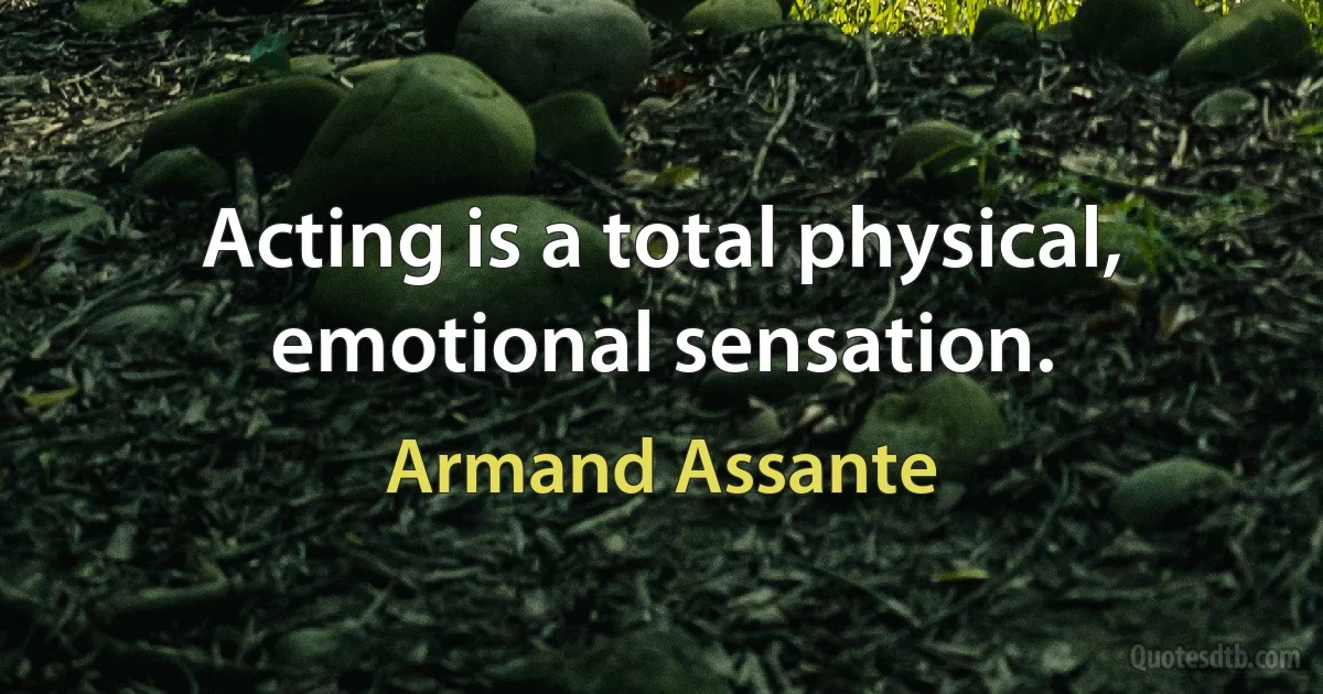 Acting is a total physical, emotional sensation. (Armand Assante)