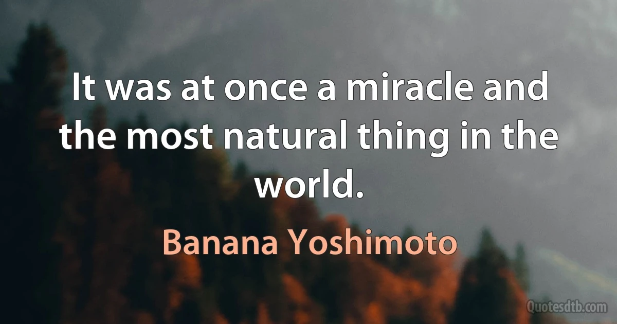 It was at once a miracle and the most natural thing in the world. (Banana Yoshimoto)