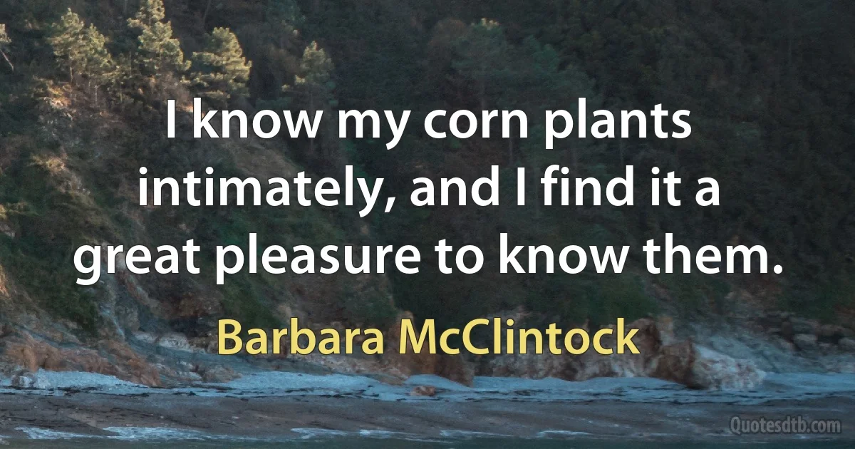 I know my corn plants intimately, and I find it a great pleasure to know them. (Barbara McClintock)