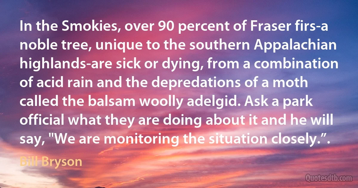 In the Smokies, over 90 percent of Fraser firs-a noble tree, unique to the southern Appalachian highlands-are sick or dying, from a combination of acid rain and the depredations of a moth called the balsam woolly adelgid. Ask a park official what they are doing about it and he will say, "We are monitoring the situation closely.”. (Bill Bryson)