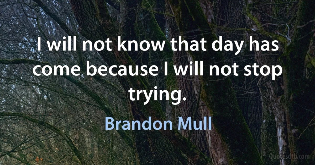 I will not know that day has come because I will not stop trying. (Brandon Mull)