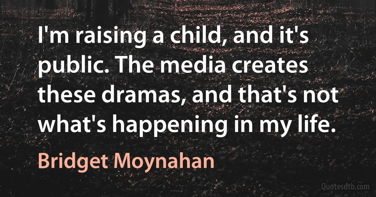 I'm raising a child, and it's public. The media creates these dramas, and that's not what's happening in my life. (Bridget Moynahan)