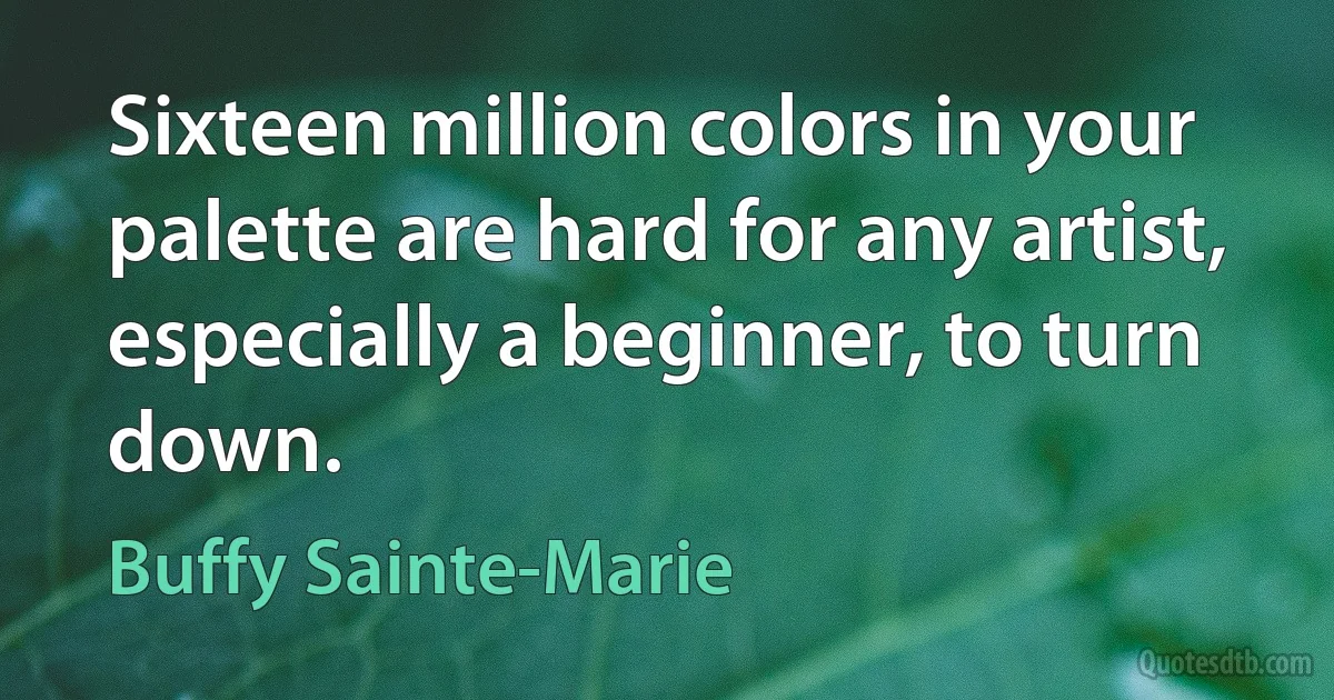 Sixteen million colors in your palette are hard for any artist, especially a beginner, to turn down. (Buffy Sainte-Marie)