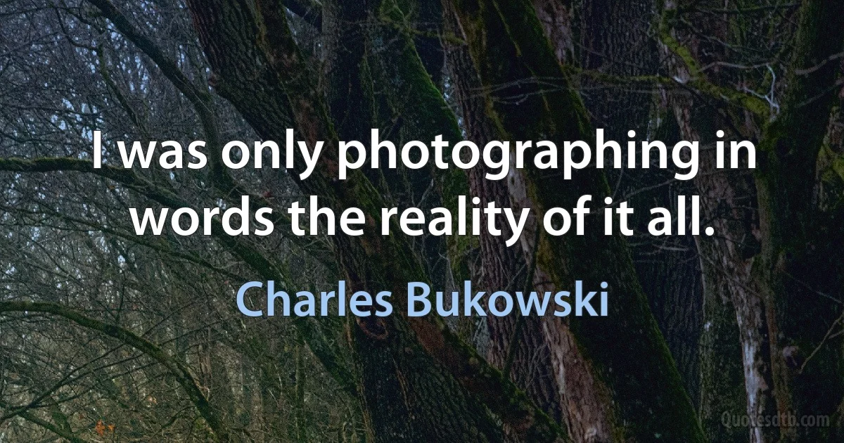 I was only photographing in words the reality of it all. (Charles Bukowski)