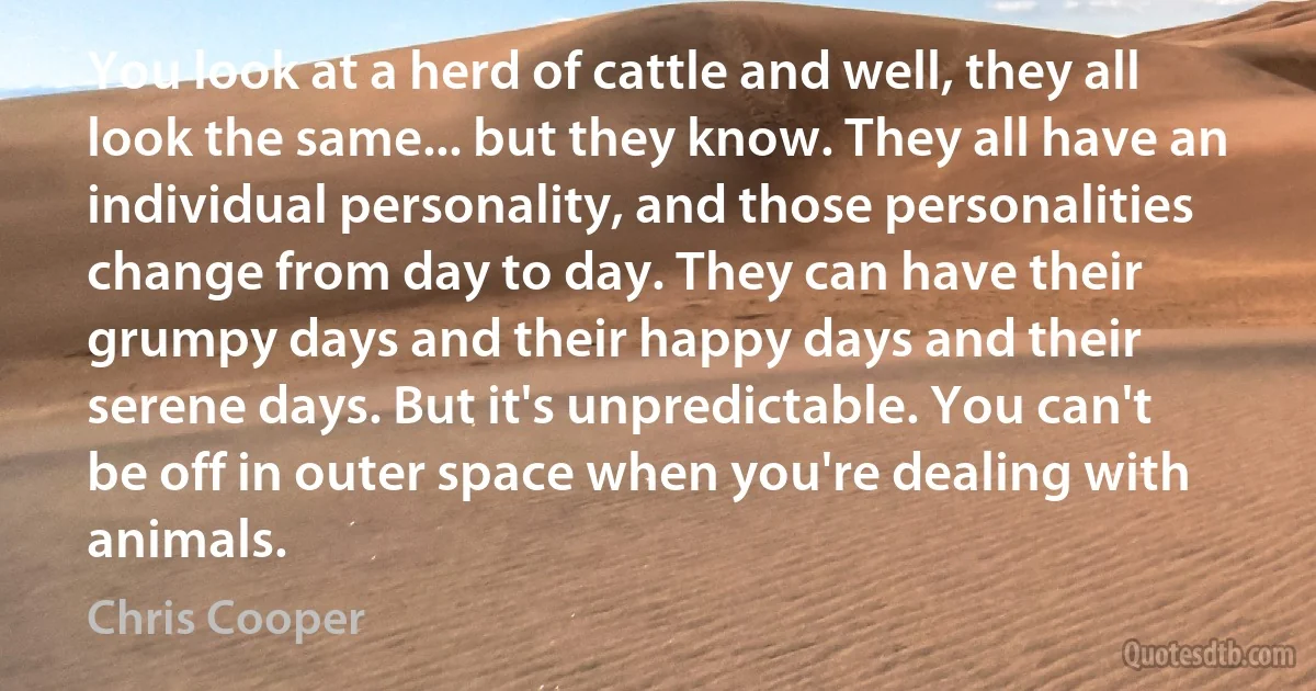 You look at a herd of cattle and well, they all look the same... but they know. They all have an individual personality, and those personalities change from day to day. They can have their grumpy days and their happy days and their serene days. But it's unpredictable. You can't be off in outer space when you're dealing with animals. (Chris Cooper)