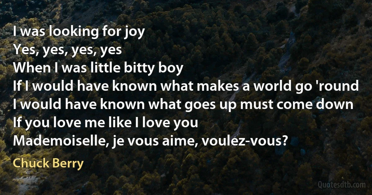 I was looking for joy
Yes, yes, yes, yes
When I was little bitty boy
If I would have known what makes a world go 'round
I would have known what goes up must come down
If you love me like I love you
Mademoiselle, je vous aime, voulez-vous? (Chuck Berry)