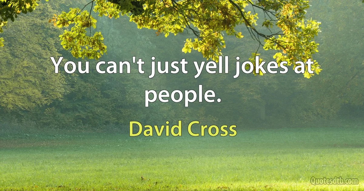 You can't just yell jokes at people. (David Cross)