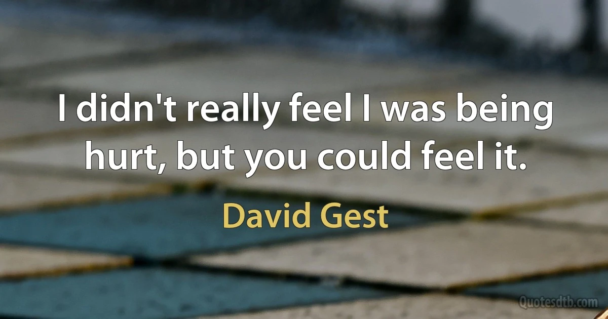 I didn't really feel I was being hurt, but you could feel it. (David Gest)