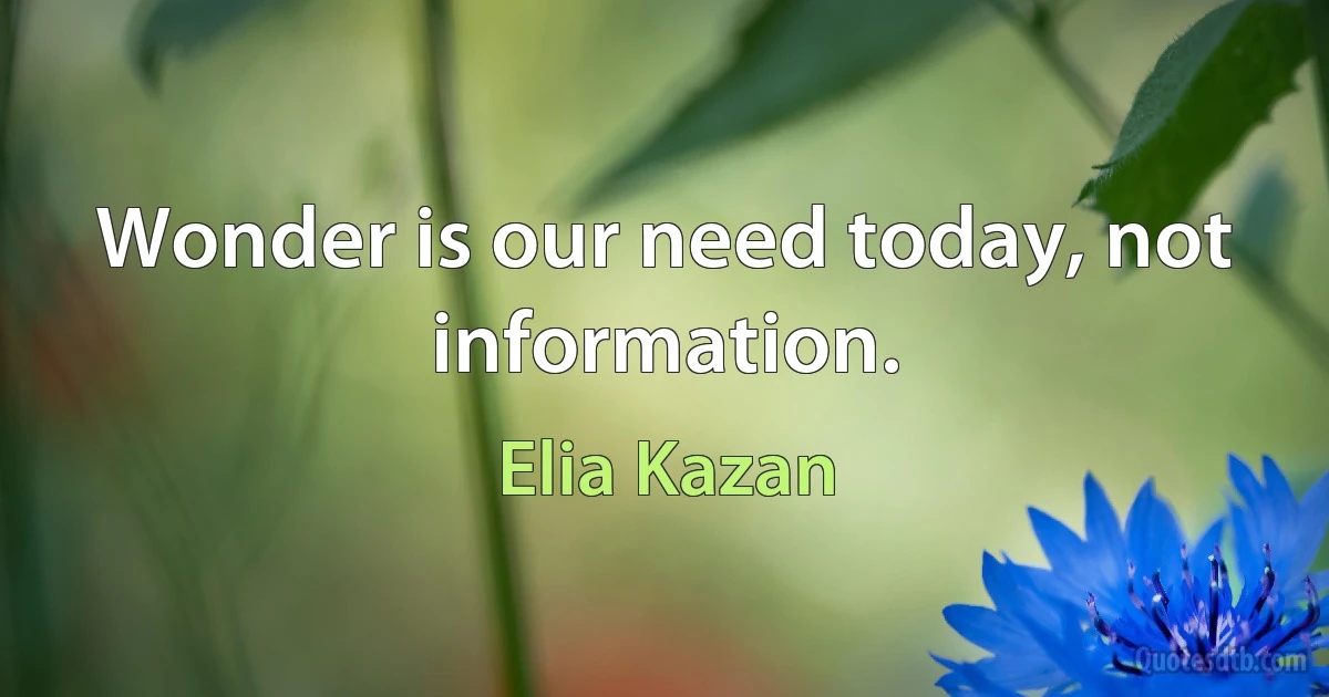 Wonder is our need today, not information. (Elia Kazan)