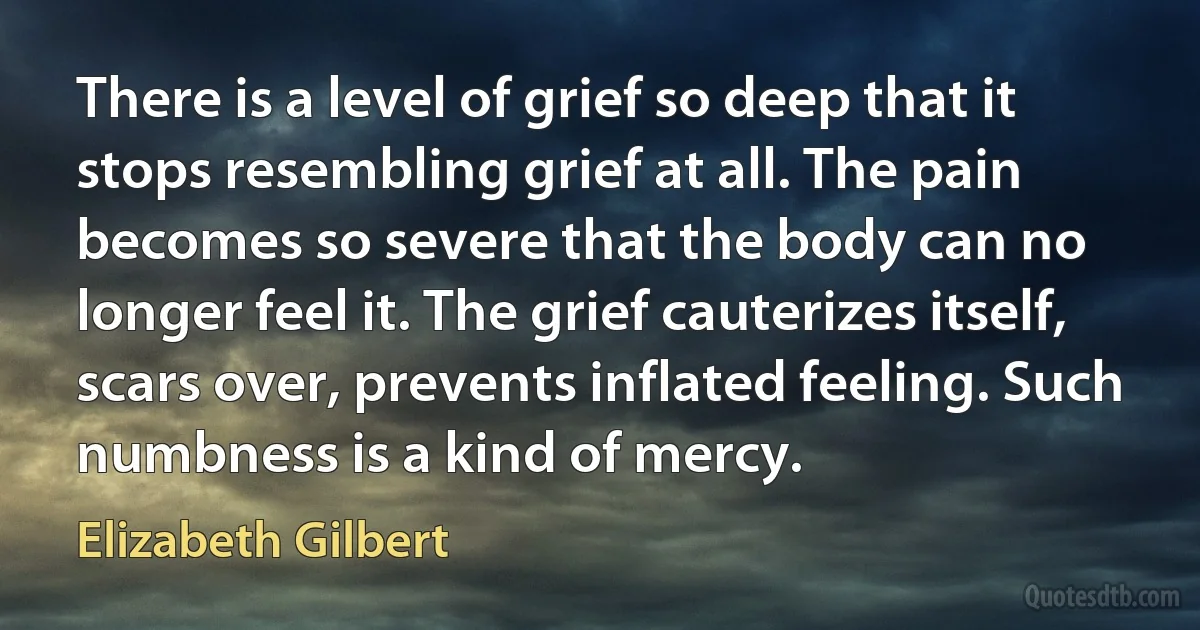 There is a level of grief so deep that it stops resembling grief at all. The pain becomes so severe that the body can no longer feel it. The grief cauterizes itself, scars over, prevents inflated feeling. Such numbness is a kind of mercy. (Elizabeth Gilbert)