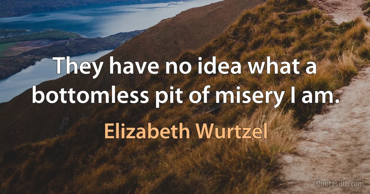 They have no idea what a bottomless pit of misery I am. (Elizabeth Wurtzel)