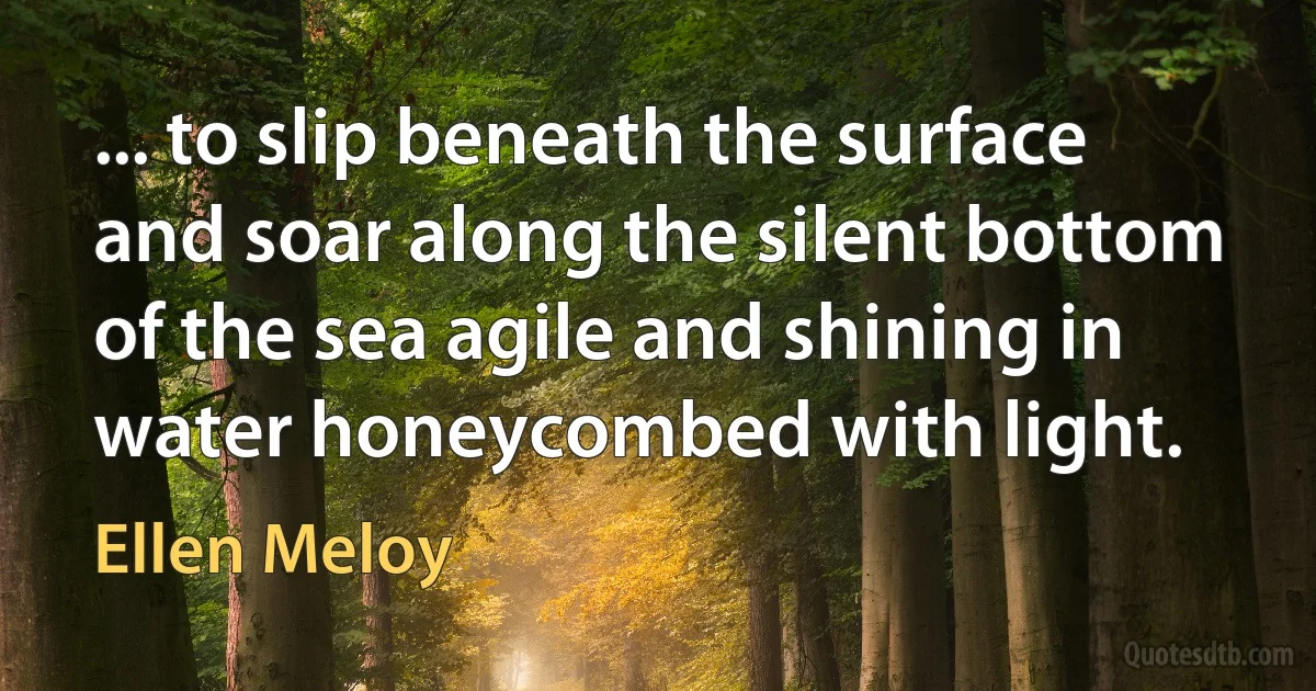 ... to slip beneath the surface and soar along the silent bottom of the sea agile and shining in water honeycombed with light. (Ellen Meloy)