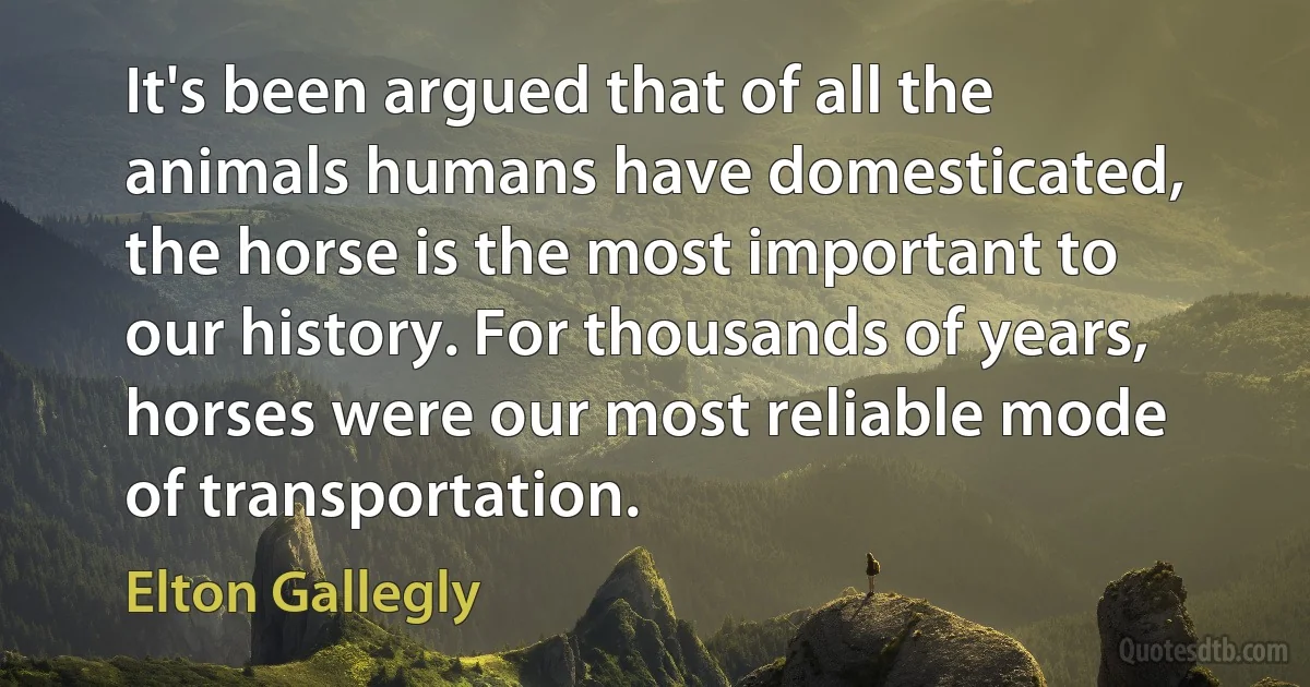 It's been argued that of all the animals humans have domesticated, the horse is the most important to our history. For thousands of years, horses were our most reliable mode of transportation. (Elton Gallegly)