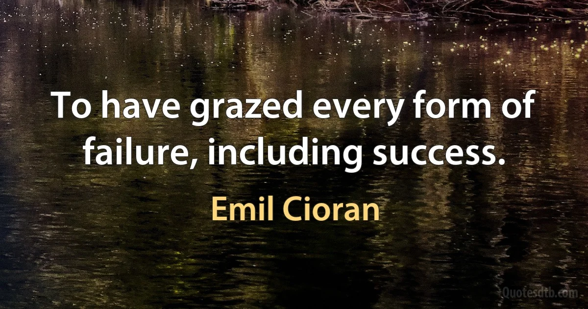 To have grazed every form of failure, including success. (Emil Cioran)